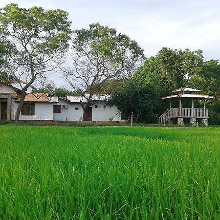 Willpattu Wild Watch Otel Habawewa Dış mekan fotoğraf